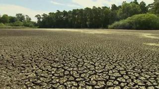 COP 24 arranca en Polonia para hacer frente a la urgencia climática