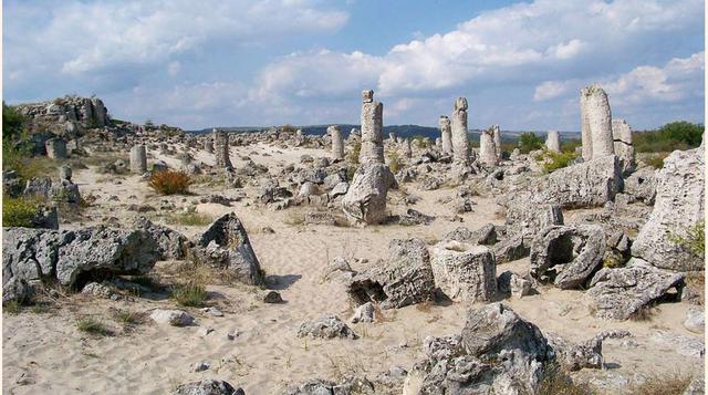 El Bosque de Piedra. Pobiti Kamani, en Bulgaria, es un bosque de rocas insólitas que se alzan en columnas que pueden alcanzar hasta seis metros de altura. Este bosque mineral formado de piedras clavadas en el suelo, mide 70 km cuadrados y existe desde hac
