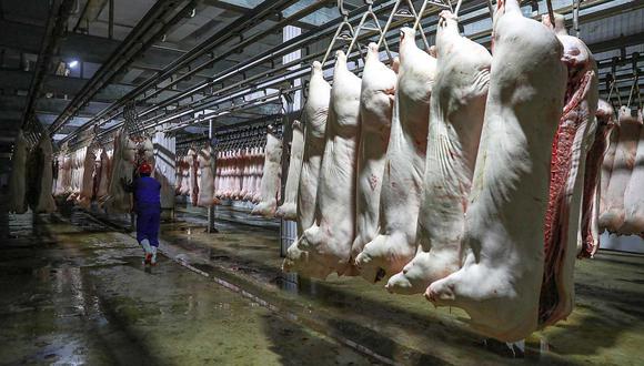 La peste porcina africana no es zoonótica, por tanto el consumo de carne de cerdo no representa un peligro para el ser humano. Sin embargo, es letal para todos los porcinos. (Foto: AFP)