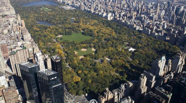 Otro destino favorito en el extranjero es Nueva York por sus distintas opciones de recreación. (Foto: TripAdvisor)