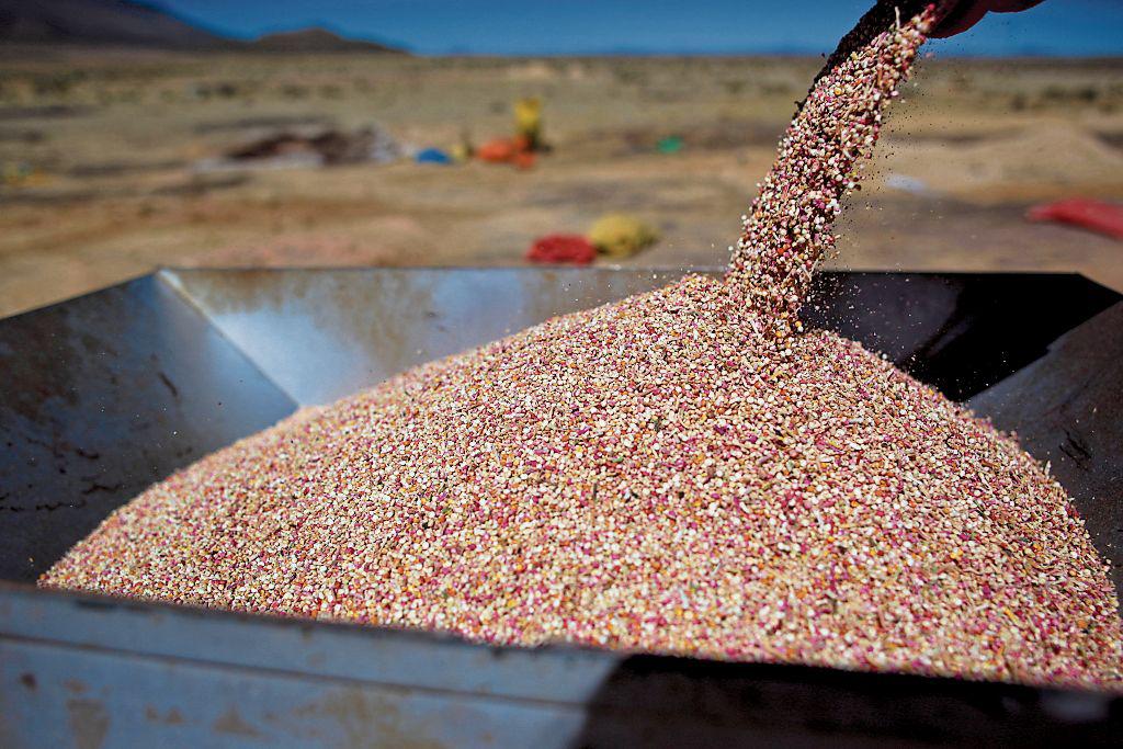 Confianza. Minagri ve el mercado asiático como estratégico.  (Foto: Bloomberg)