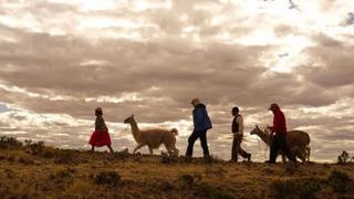 Puno ofrece paquetes de "turismo rural comunitario"