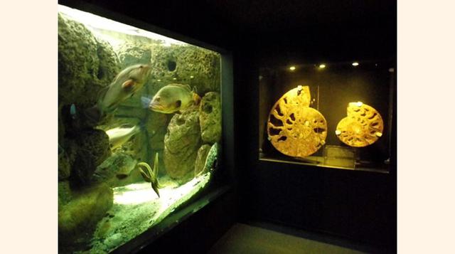 Cretaquarium Thalassocosmos, Heraklion, Grecia.
