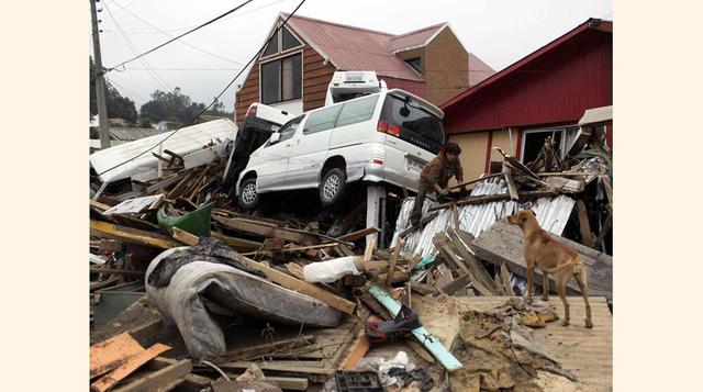 Hubo 12,000 heridos y 800 mil personas sin hogar. (Foto: AP)