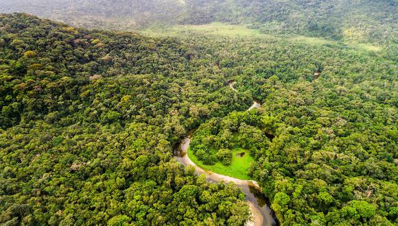 La Amazonía abarca el 40% del territorio de Suramérica y tiene una riqueza inconmensurable que incluye el 44% de los bosques tropicales húmedos del planeta, cerca del 20% del agua dulce y el 25% de la biodiversidad terrestre del mundo. (Foto: iStock)