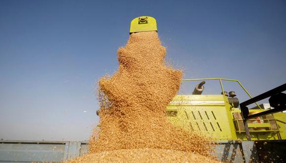 Una ola de calor en Francia ha agravado la sequía en el mayor estado productor de trigo de la UE. (Reuters)
