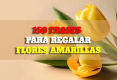 ▷ 150 frases para regalar Flores Amarillas este 21 de marzo con mensajes cortos y tarjetas bonitas