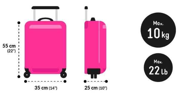 Viajas en avión? Conoce las diferencias entre artículo personal, equipaje  de mano y maleta de bodega | TENDENCIAS | GESTIÓN