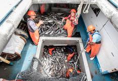 Economía peruana creció 2.68% en el 2022 tras caída acentuada de la pesca