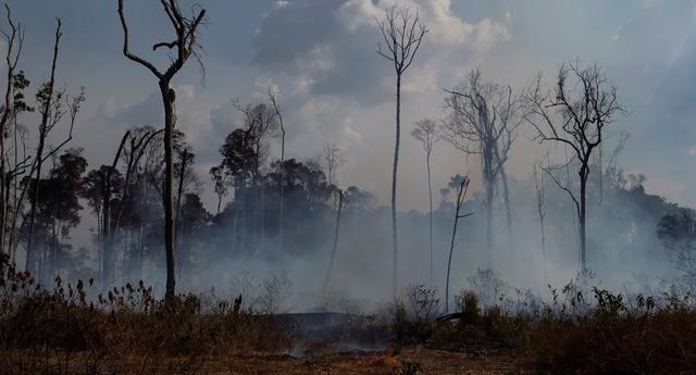 FOTO 1 | Los incendios son frecuentes en esta época del año debido al clima seco característico en la región amazónica, especialmente en setiembre. Según expertos y residentes de esta vasta región, en el 2019 los incendios se registraron antes de lo esperado. (Foto: AP)
