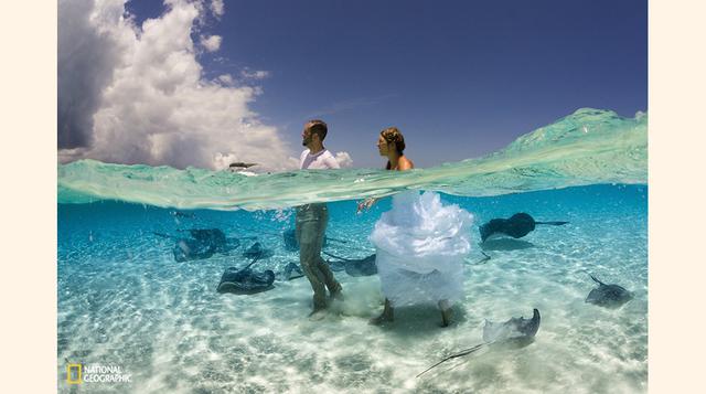 Stingray City en Gran Caimán. Una pareja de recién casados se embarca en una aventura en el mar de aguas cristalinas.