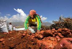 Bolivia restringe importación de papa y cebolla procedente de Perú