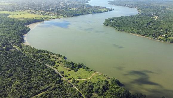 Según el estudio de WRI Brasil, un nuevo modelo de desarrollo para la Amazonía que mantenga la selva en pie, con la promoción de actividades de bioeconomía, puede agregarle US$ 8,420 millones anuales al PIB de la Amazonía brasileña a partir del 2050. (Foto: EFE)