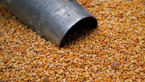 China, que necesita alrededor de 280 millones de toneladas de maíz al año, solía contar con enormes existencias del cereal, pero terminó por venderlas, lo que ha llevado a los compradores de granos a buscar alternativas como el arroz y el trigo, y a elevar las compras de maíz al exterior. (Foto: Reuters)