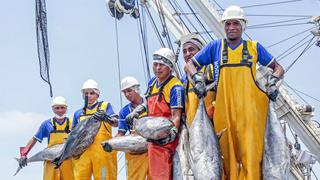 Perú podría contar con menos atún para pescar: CIAT definirá nuevo modelo de cuotas