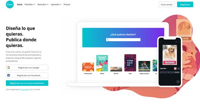 FOTO 5 | 5. Canva (Foto: Canva)