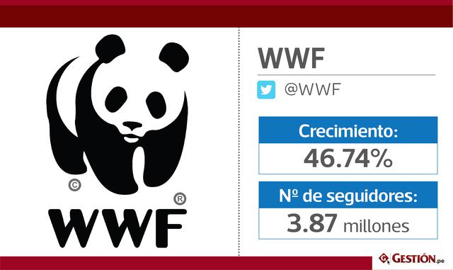 FOTO 4 | WWF