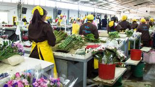 Ecuador vende mil toneladas más de flores pero a menor precio