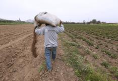 Invasión de Rusia a Ucrania hace que precios de insumos agrícolas suban casi un 10% en primer trimestre