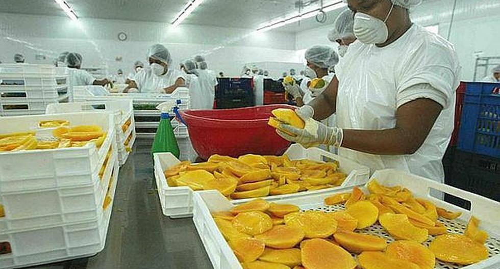 Sunshine Export evalúa nuevos productos para sumar a su línea de ...