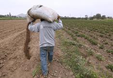 Midagri: el 47% de pequeños y medianos productores utiliza fertilizantes químicos
