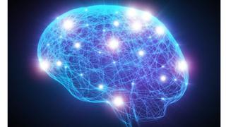 Estudio indaga relación entre actividad cerebral y obesidad