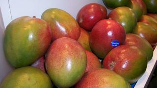 Exportaciones de mangos y espárragos contrarrestan desaceleración anual de sector agroexportador