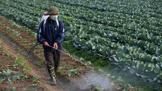 Un tercio de las tierras de uso agrícola en “alto riesgo” por contaminación de pesticidas
