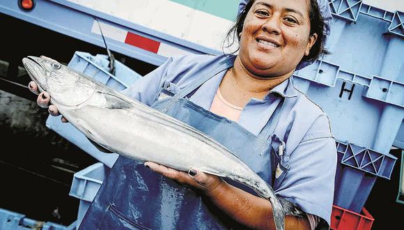 Ministerio de la Producción fomenta consumo de pescado. (Foto: GEC)
