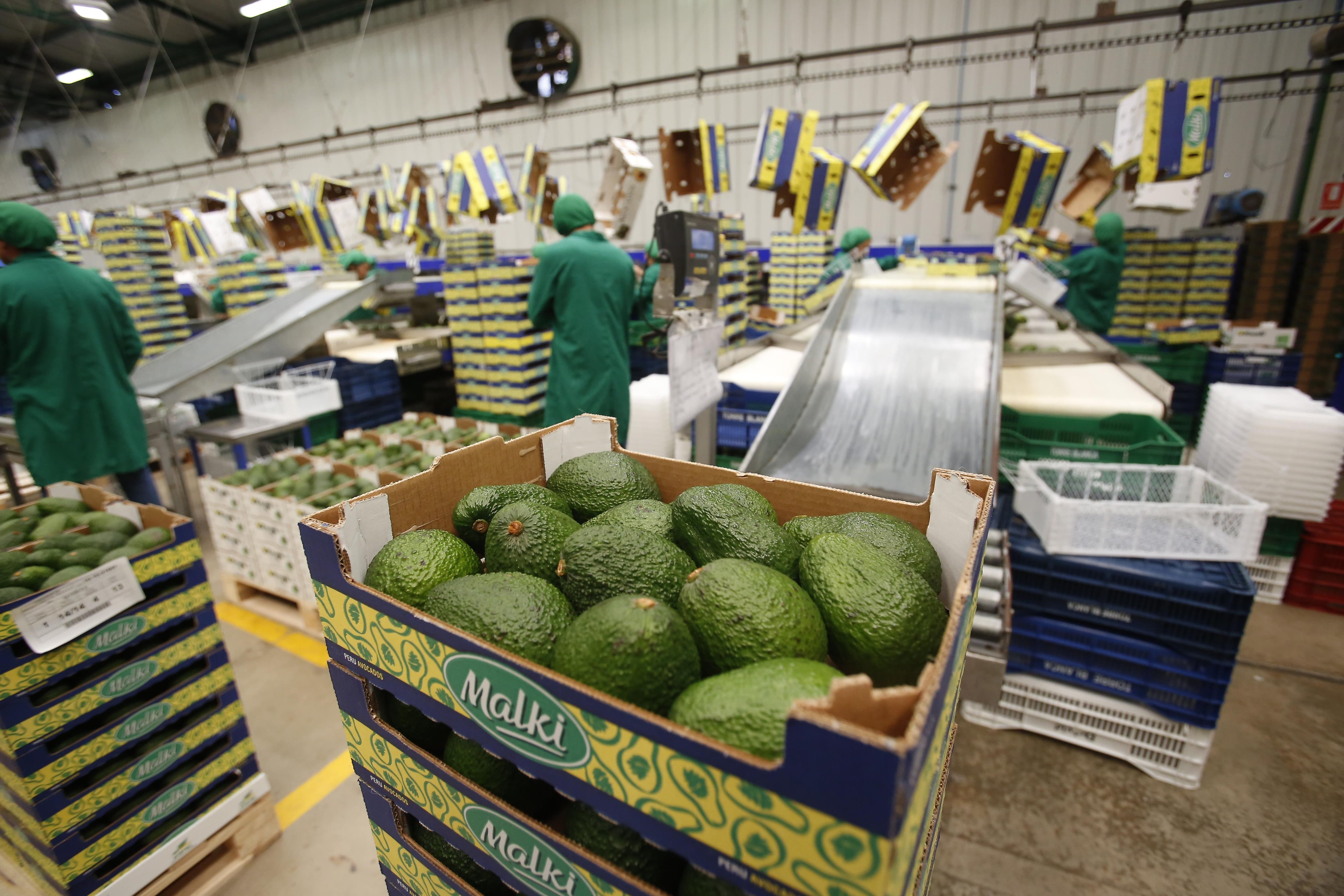 (Foto: Hugo Perez - Grupo EC)