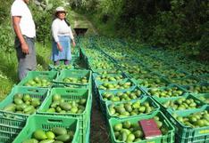 Tailandia facilitará aún más el ingreso de uva, palta, arándano y otros productos del Perú