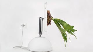 Monsieur Plant, el artista galo que convierte ordenadores Mac en originales plantas