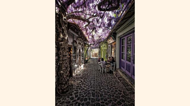 Calle del Mercado (Molivos, Lesbos; Grecia). Se clasificó como la calle más bonita del mundo en una votación de la enorme comunidad de Bored Panda, y es fácil ver por qué. Esta calle de Molivos, en la hermosa isla de Lesbos, representa una de las muchas z