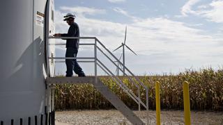 El maíz sube en mercado preocupado por fenómeno climático La Niña