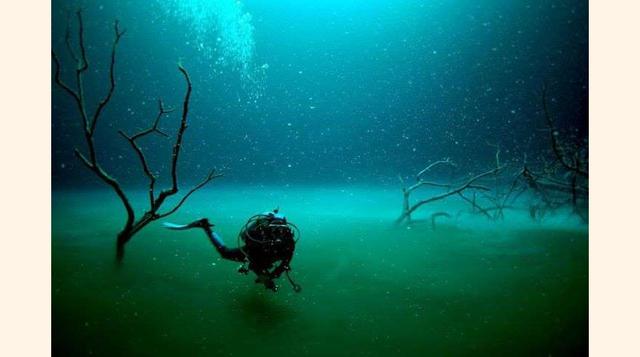 Río Submarino en México, La cueva Cenote Angelita, en México, acoge un río submarino, a 60 metros de profundidad. Este fenómeno natural es el resultado del alto contenido de hidrógeno saturado en el agua.