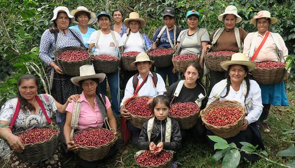 Café Femenino es integrado por 1,000 mujeres caficultoras que reciben directamente el valor de su producto y los premios del mercado (Foto: Difusión)