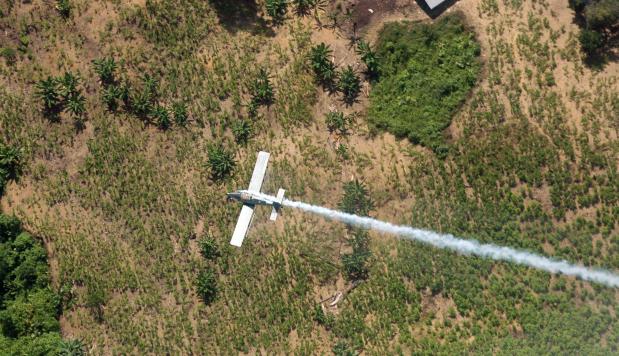 Sin esperar hasta finalizar el 2023, Alemania espera el próximo año las primeras limitaciones, con la prohibición de su uso en parques y jardines privados, así como las primeras restricciones para los agricultores.