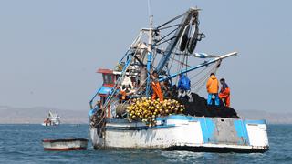 Produce ordena veda del pejerrey a partir desde este domingo