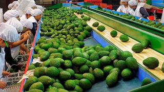 Argentina, potencial mercado para impulsar envíos peruanos de paltas, bananos y mangos