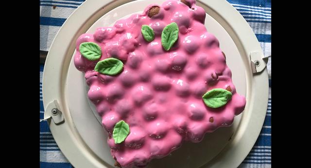 The author’s attempt at a second Kasko dessert, using the cherry cake mold, was not as successful.Photographer: Leah Eskin