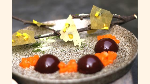 Cacao Tocache, algarrobo y cedrón son algunos de los productos que emplea. (Foto: Central)