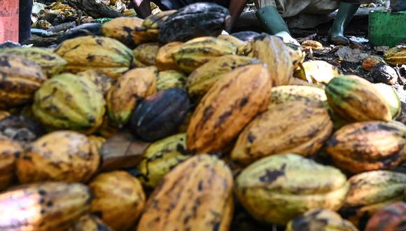 Cacao alcanza precios récord en las últimas semanas
