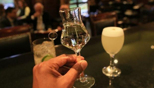 Pisco (Foto: GEC)