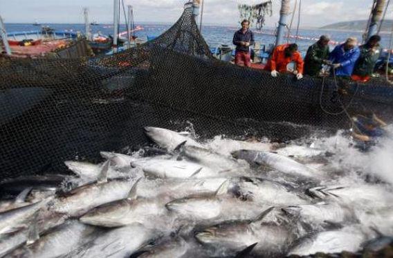 Pesca (Foto: Difusión)