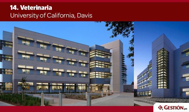 Justo fuera de la ciudad de Sacramento, Davis es uno de los 10 campus de la Universidad de California. Es el lugar para ir si quieres convertirte en veterinario. Ocupa el primer lugar en el mundo otro año más, ya que había logrado la misma posición en 201