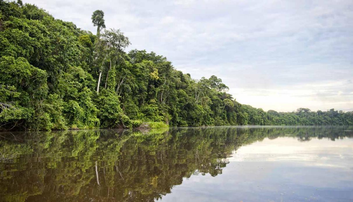 En marzo, la ONG Amazon Watch, con sede en Estados Unidos, afirmó que los pueblos amazónicos están entre "los más vulnerables del planeta" ante la pandemia.