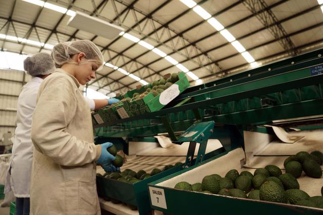 FOTO 2 | El segundo puesto lo ocupa Colombia con el 59% de participación femenina en el mercado laboral. (Foto: Bloomberg)