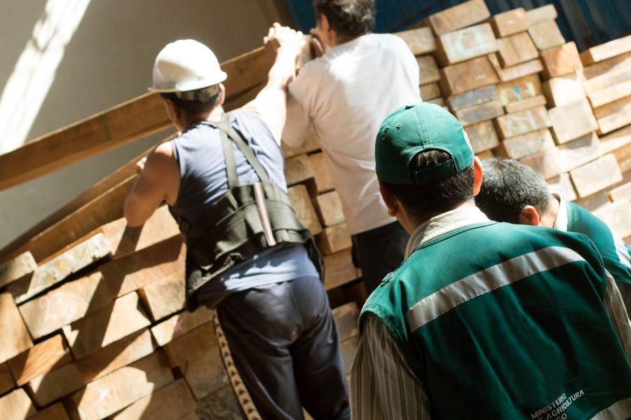 Un total de 29 procedimientos han culminado en primera instancia con resoluciones de sanción expedidas por el Serfor. (Foto: Difusión)