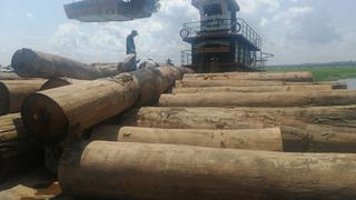 Trazabilidad de la madera: un reto pendiente en Perú para certificar su origen legal
