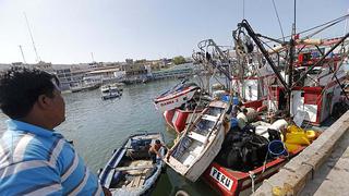 Produce autoriza que pescadores artesanales del sur volverán a capturar chanque y choro